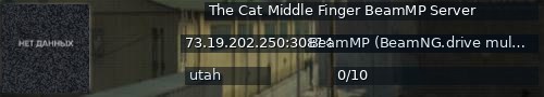 Большой баннер сервера: The Cat Middle Finger BeamMP Server