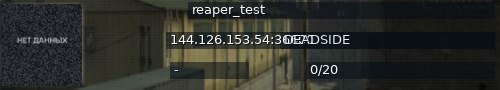 Большой баннер сервера: reaper_test