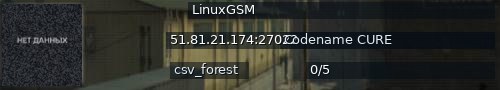 Большой баннер сервера: LinuxGSM