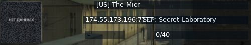 Большой баннер сервера: [US] The Micr