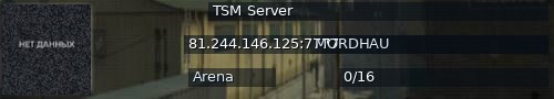 Большой баннер сервера: TSM Server
