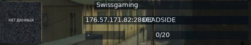 Большой баннер сервера: Swissgaming