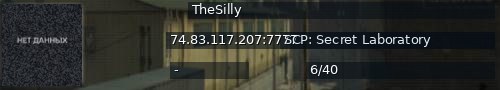 Большой баннер сервера: TheSilly