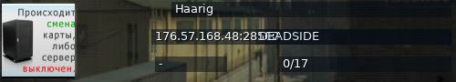Большой баннер сервера: Haarig